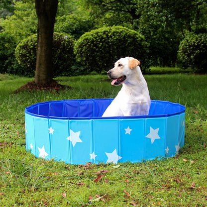 Folding Dog Pool