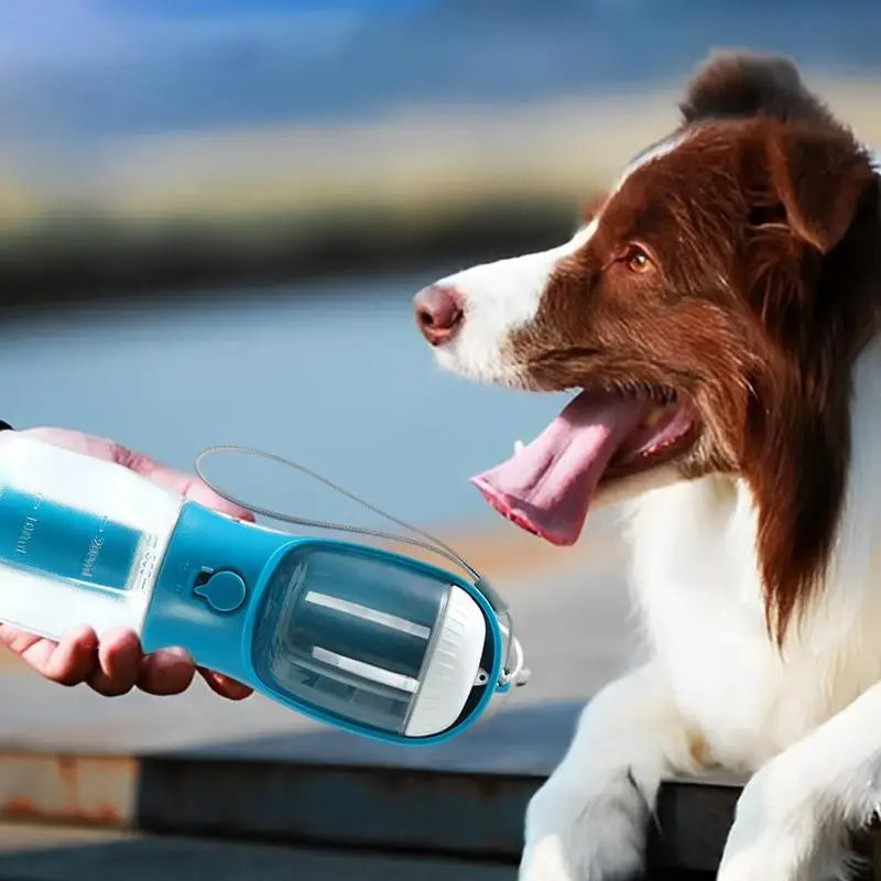 Portable Dog Water Bottle And Food Box