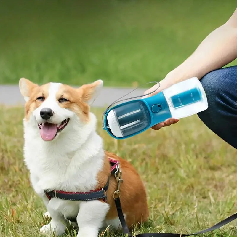 Portable Dog Water Bottle And Food Box
