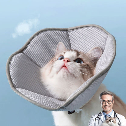 Cat Anti-scratch Collar