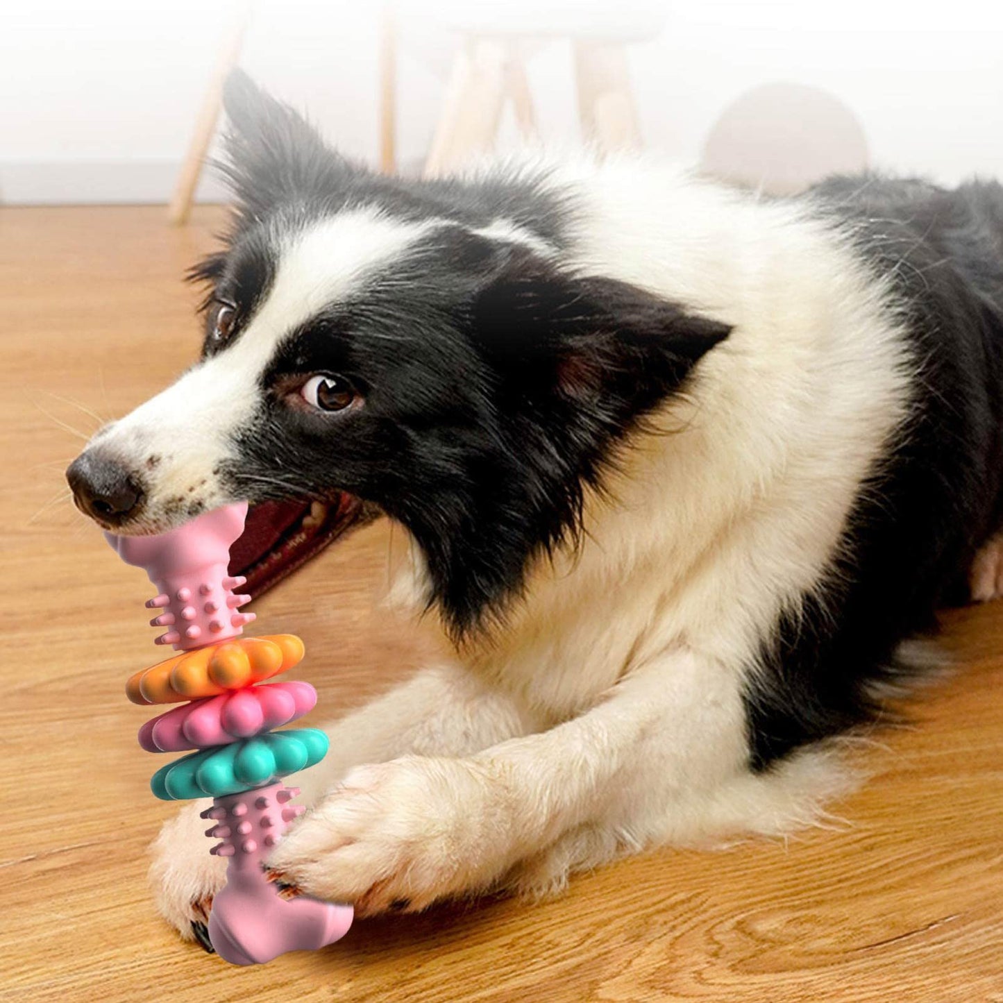 Dog Chewable Toy